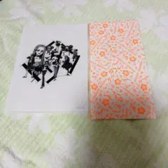 Namie様専用　安室奈美恵　ナナコカードとワンピースクリアファイル