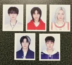 【わにぴりっくす様専用】StrayKids 本国シーグリ IDフォト