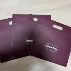 Häagen-Dazs ジッパー付 保冷バッグ 保冷袋 3枚セット