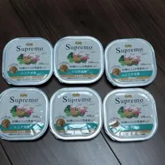 Item thumbnail for item e9c66ff6-4ecf-4453-81c7-542d66e01e0b