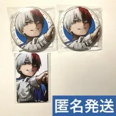 ヒロアカ 十傑 応募者全員サービス 轟焦凍 缶バッジ キャラカード