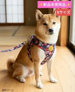 新品 犬用 ハーネス リード S 桜柄 小型犬 猫 首輪 散歩 咳止め 胴輪