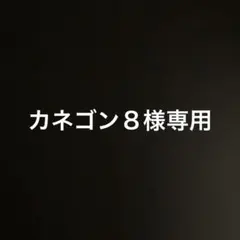 カネゴン８様 リクエスト 2点 まとめ商品