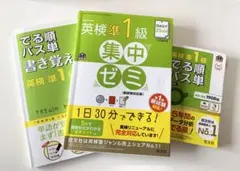 DAILY25日間英検準1級集中ゼミ　英検準1級でる順パス単