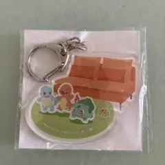 IKEA ポケモン アクリルキーホルダーのサムネイル