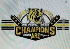 2025 JERA セントラル・リーグ優勝記念マグネットシート - メルカリ