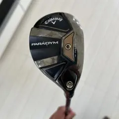 Item thumbnail for item d598cf15-71a0-4dd2-891f-aa6f12ad354f