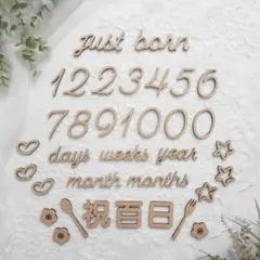 木製 月齢フォト ミニ 35点セット ニューボーンフォト ジャストボーン