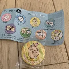 ちいかわ うさぎ缶バッジ　くら寿司