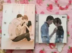 どうしても触れたくない DVD メイキングDVD 原作本 セット - メルカリ
