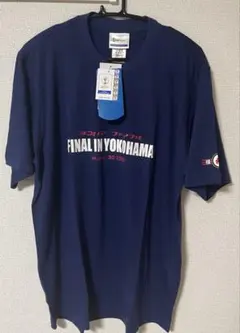 希少　2002年 日韓ワールドカップ決勝記念Tシャツ