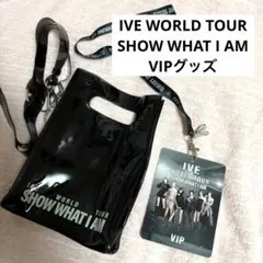 ℃-ute メキシコ公演 VIP限定 直筆サイン入り写真 鈴木愛理 矢島舞美