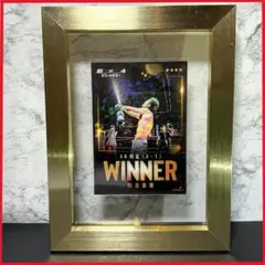 Item thumbnail for item 09af32dd-ad0d-45aa-a706-4518b5b40242