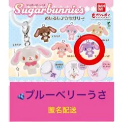 2025年最新】ブルーベリーうさ￼の人気アイテム - メルカリ