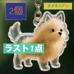 （ポメラニアン）わんちゃん 毛玉入れ 2個セット チャーム メモリアル 収納 犬