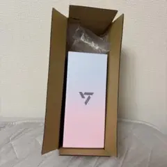 SEVENTEEN ペンライト 10周年 CARAT棒
