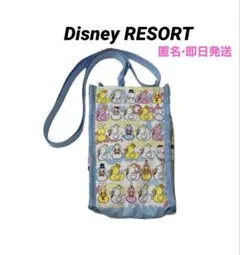 美品　ディズニーリゾート　ドナルドパルパルーザ　ショルダーポーチ　即日