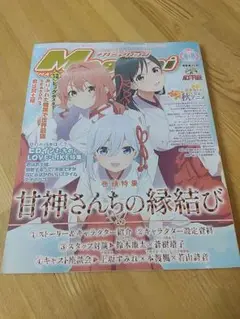 【付録付き】Megami Magazine　メガミマガジン　2025年1月号