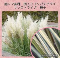 Tink様 リクエスト 5点 まとめ商品
