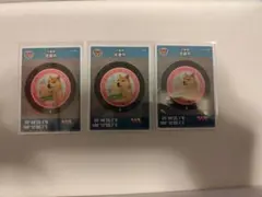 千葉県佐倉市　マンホールカード