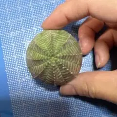 きさちゃん様 リクエスト 5点 まとめ商品