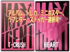 196. straykids MAXIDENT  各種選択可能