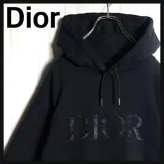 3221【希少人気コラボ】ディオール×ピータードイグ 刺繍センターロゴ パーカー 2025年最新】Christian Dior 柄・デザイン：刺繍 メンズ パーカーの
