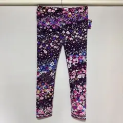 Item thumbnail for item 8648e880-98dd-4c1f-8264-f16da2ae446a