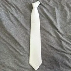 Item thumbnail for item 0a643b89-954e-403a-b22d-794e10bf9ac6