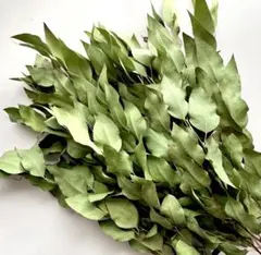 うさぴょん様 リクエスト 3点 まとめ商品