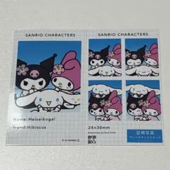 サンリオ　証明写真風スマロイド　シークレット