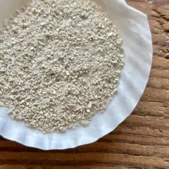 珊瑚 工作素材