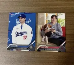 2026年最新】大谷翔平デコピンカードの人気アイテム - メルカリ