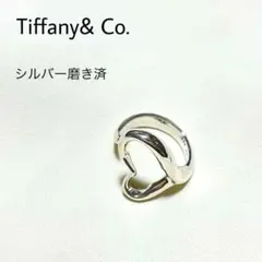美品 稀少 ラージサイズ☆ ティファニー スクリブル ブローチ SV925