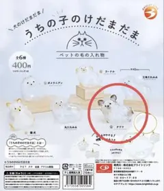 犬のけだまだま　チワワ