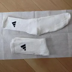 Item thumbnail for item 80d90548-f78d-41ec-aa6f-3bc43af6f2fa