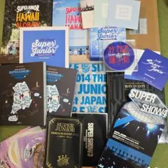 Item thumbnail for item b8288016-efe6-4a0d-9a68-dfc0174aa0ff