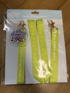 東京ディズニーリゾート ストラップセット