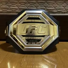 WWEチャンピオンベルト レプリカ 残り二つ 早い者勝ち - メルカリ