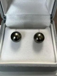 タヒチ黒蝶真珠パールピアス 10mm ブルーグレーカラー K14WG製 - メルカリ