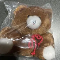 くずみちゃん ココア