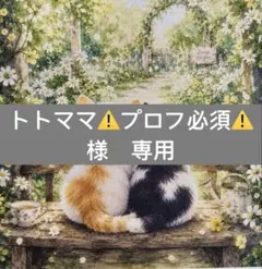 トトママ⚠️プロフ必須⚠️様　専用