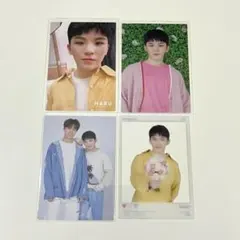 SEVENTEEN HARU ウジ