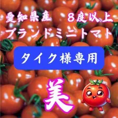 タイク様　コメント専用です