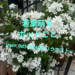 user_0d5c884f様 リクエスト 4点 まとめ商品