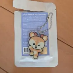 ジョシュア　ミニティーン　ラキドロ　アクキー　SEVENTEEN セブチ