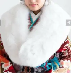 2026年最新】シャドーフォックス サガの人気アイテム - メルカリ