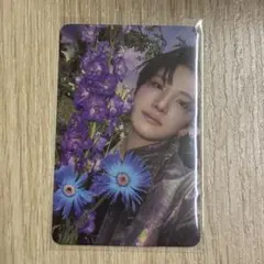 &TEAM YUMA Back to Life ROAR 封入 (y-0003)