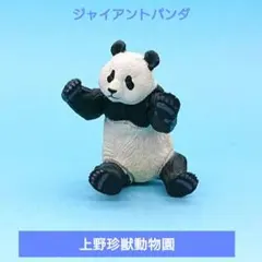 希少【海洋堂】上野珍獣動物園　ジャイアントパンダ　上野動物園　バンダのサムネイル