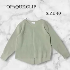 オペークドットクリップ リブニット バックスリット ライトグリーン Vネック L